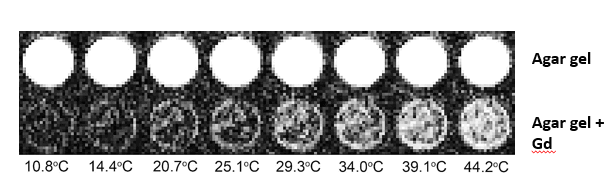 Temp Map Image